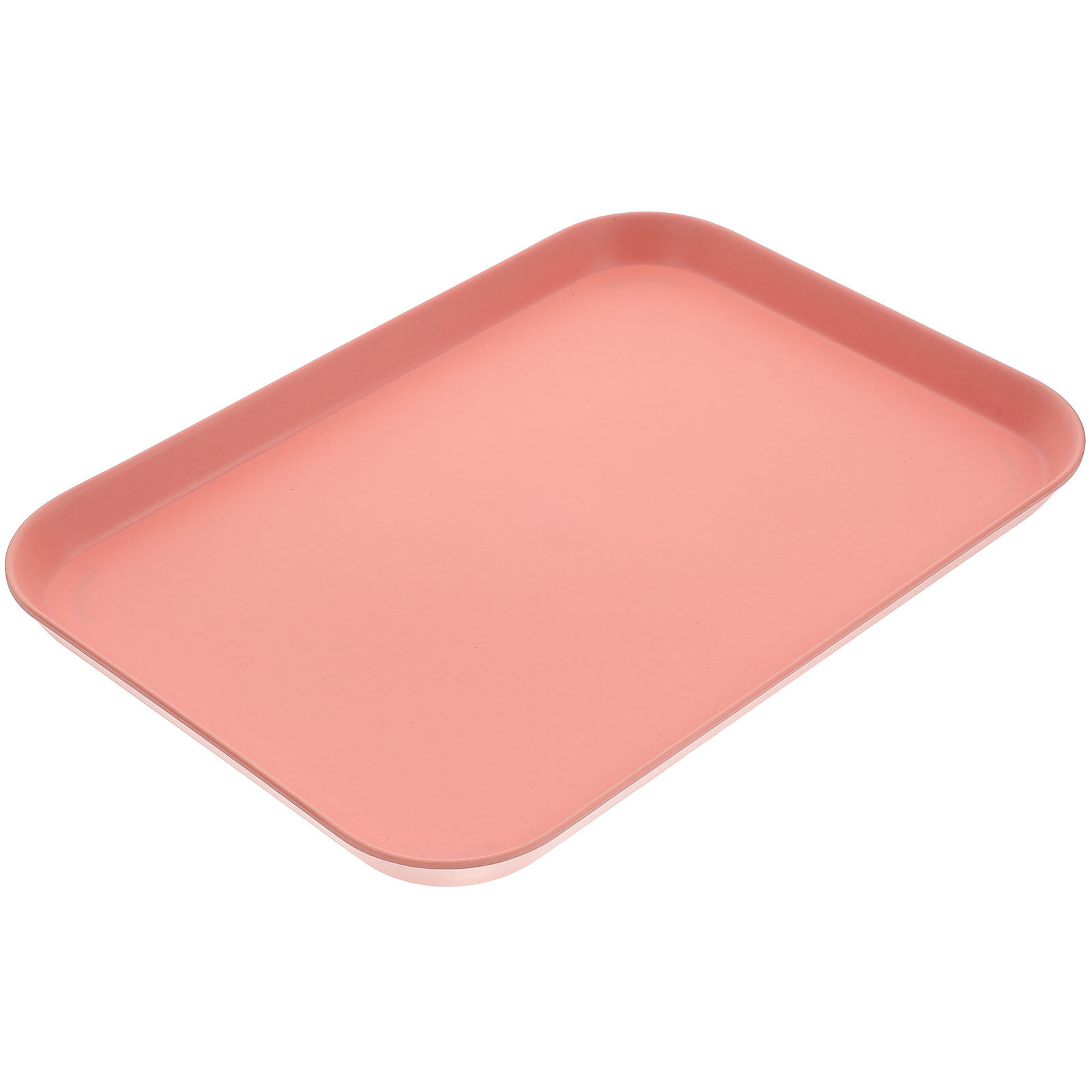 Resin Reptile Water Bowl Large - Water Dish Reptile avis et prix