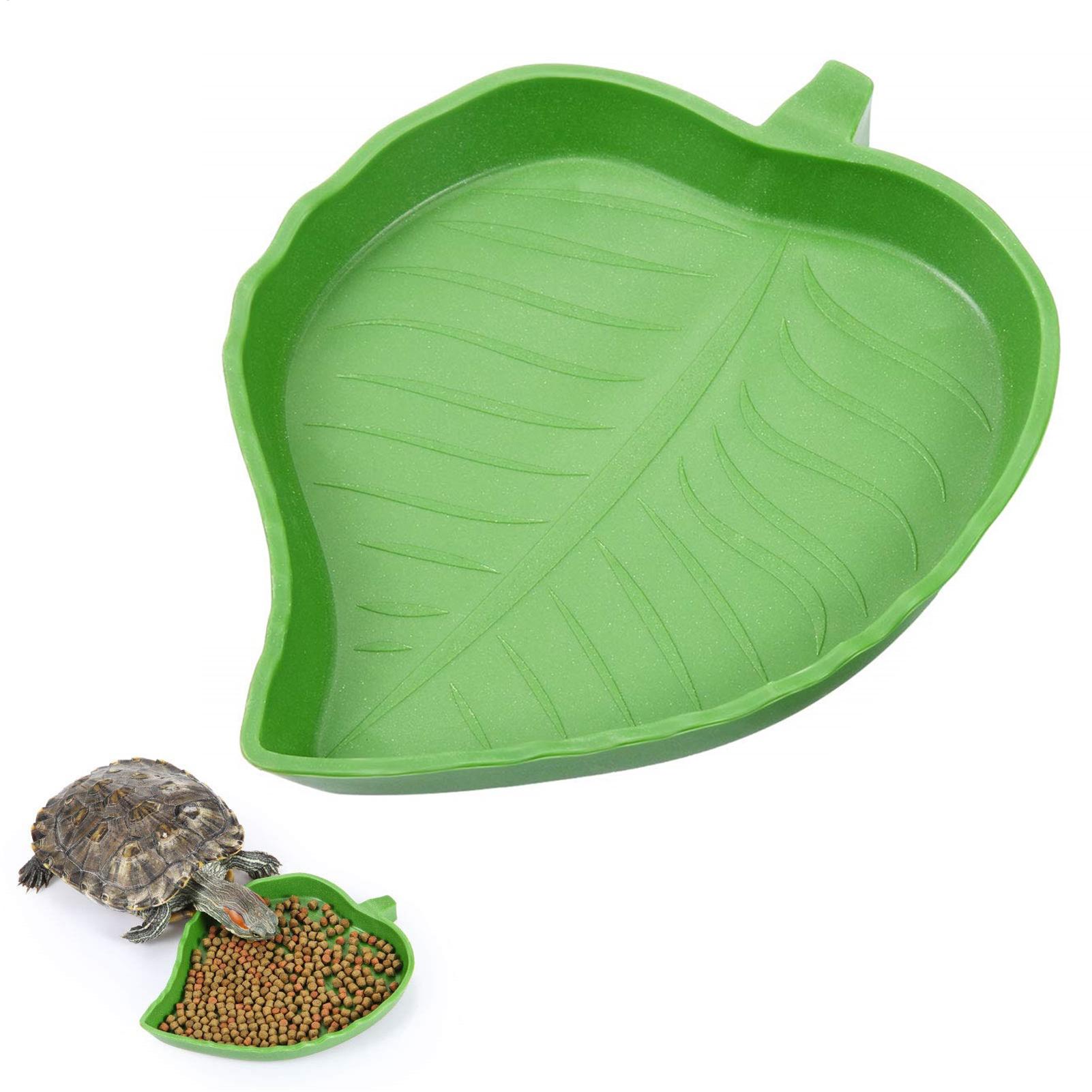 Turtle Feeding Bowl Reptile Fe - Water Dish Reptile avis et prix