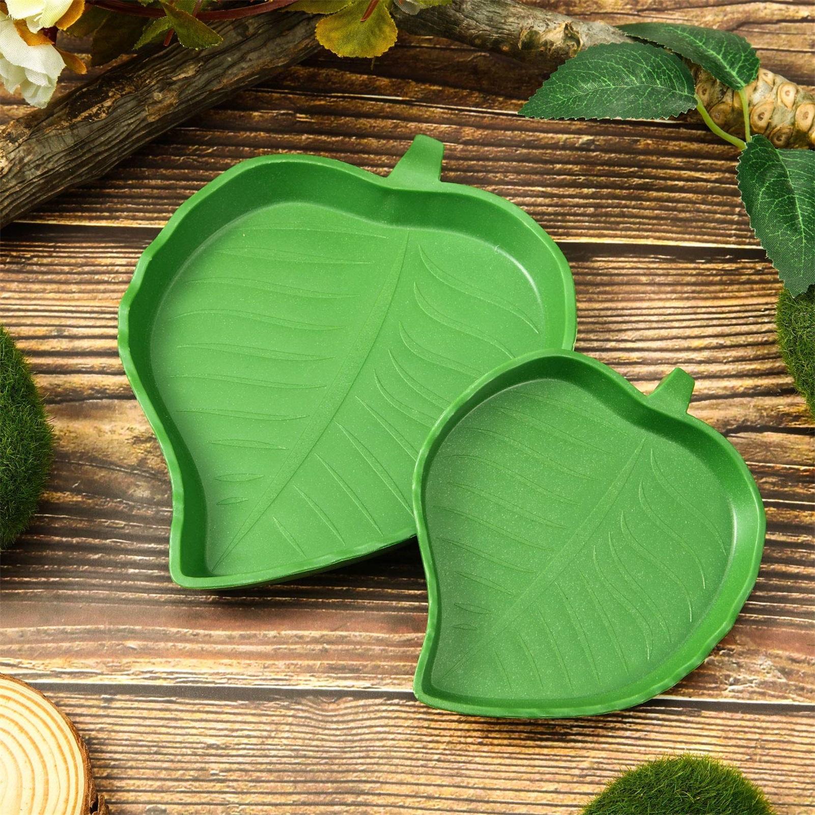 Turtle Feeding Bowl Reptile Fe - Water Dish Reptile avis et prix