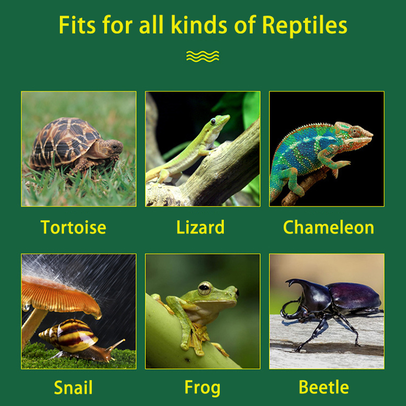 4L Reptile Terrariums Humidifi - Terrarium Fogger Ultrasonic avis et prix