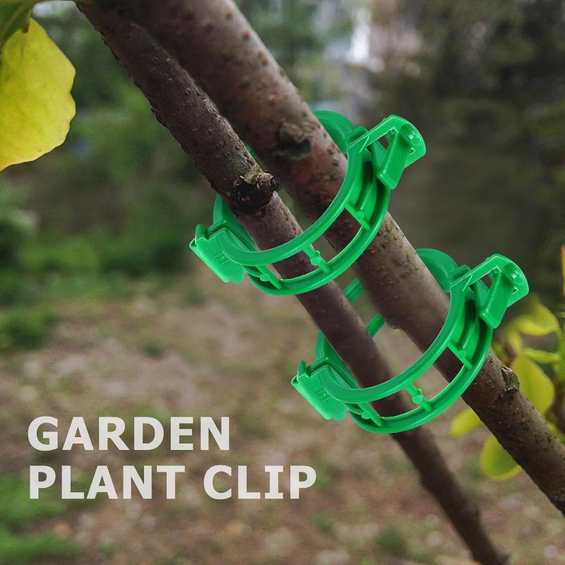 Reusable Plastic Plant Support - Vine Climbing Plastic avis et prix