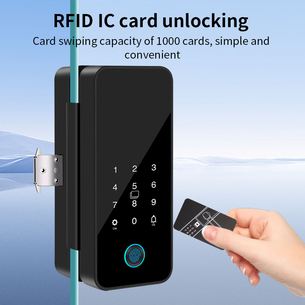 B16 Tuya APP Bluetooth Glass D - Glass Door Hinge avis et prix
