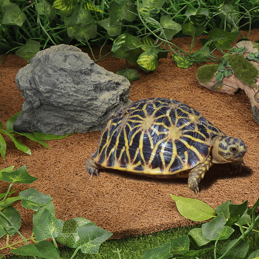 Reptile Thermal Substrate Carp - Substrate Coconut Fiber avis et prix