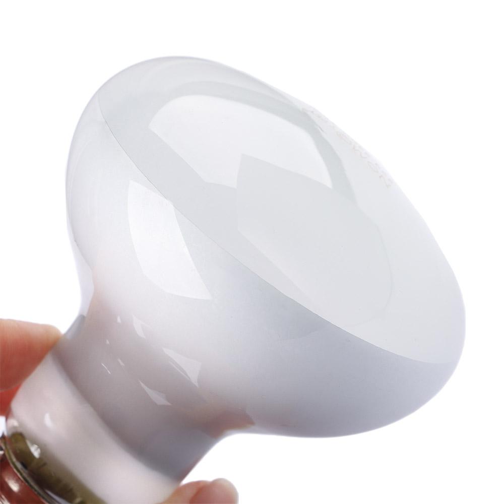 Lizard Heater Temperature Cont - Basking Bulb Halogen avis et prix