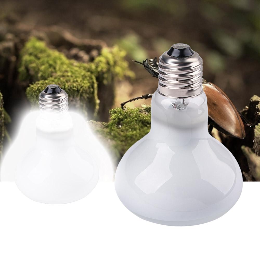 Lizard Temperature Controller  - Basking Bulb Halogen avis et prix