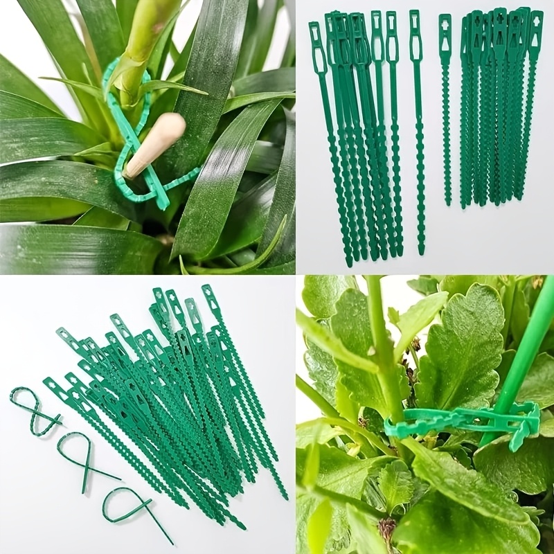 100PCS reusable adjustable pla - Vine Climbing Plastic avis et prix
