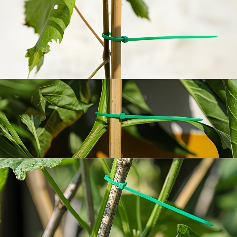 50-300pcs Adjustable Plastic P - Vine Climbing Plastic avis et prix