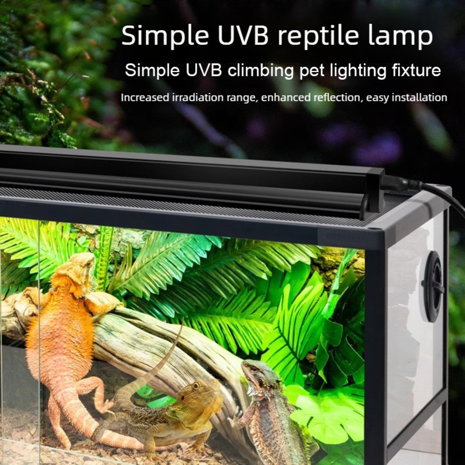 Reptile UVB Lamp Combo Kit UVA - Calcium Powder Reptile avis et prix