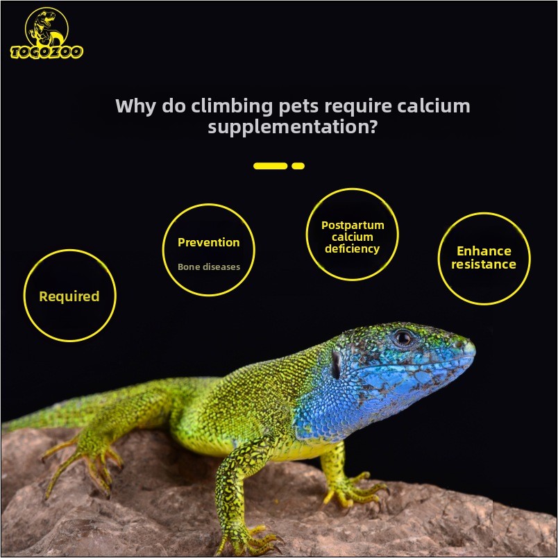 TOGOZOO WILDCAL Reptile Calciu - Calcium Powder Reptile avis et prix