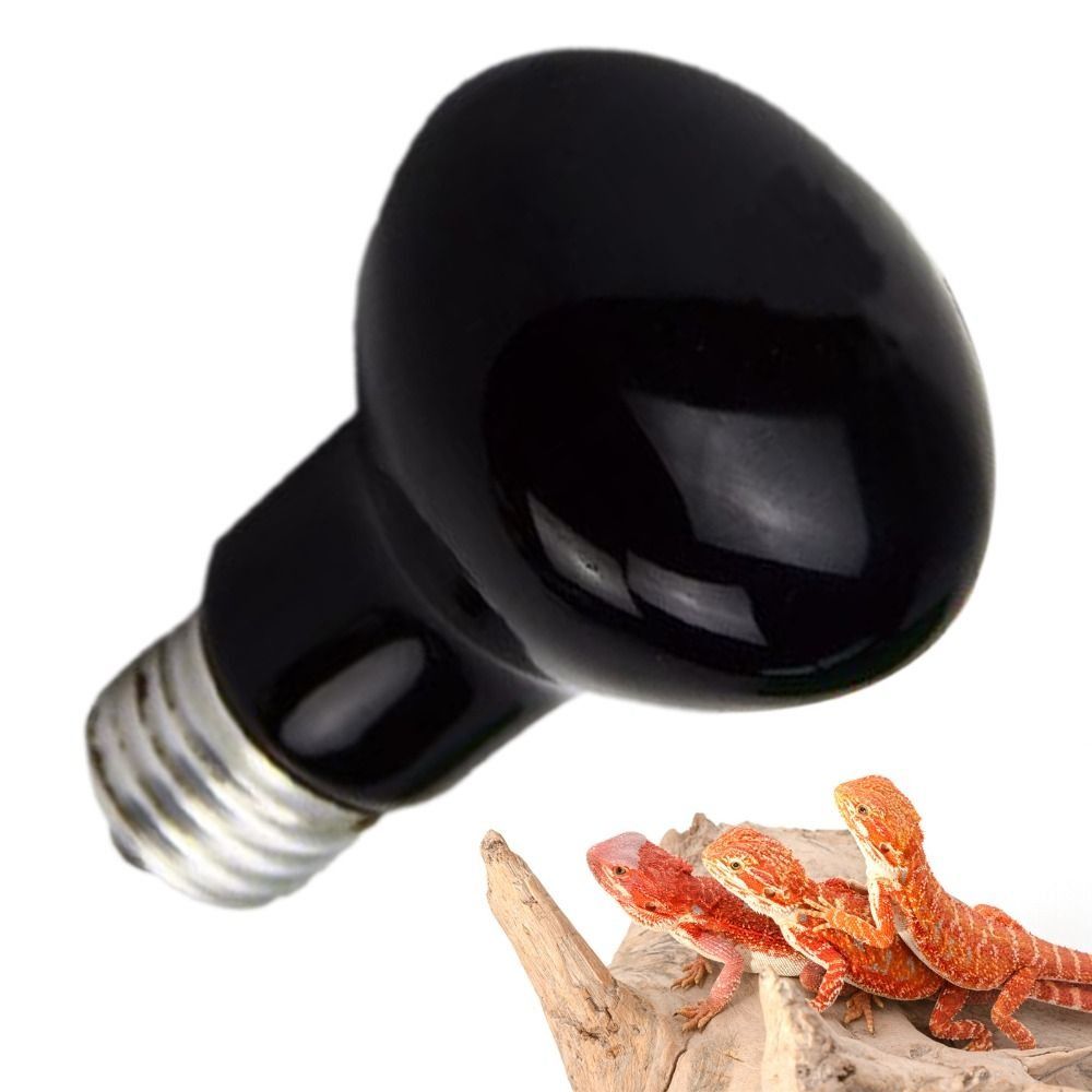 Infrared Led Pet Heating Lamp  - Ceramic Heat Emitter avis et prix