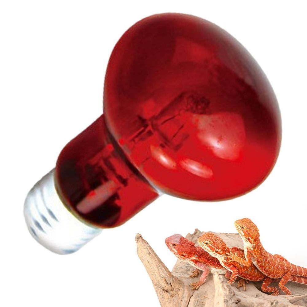 Infrared Led Pet Heating Lamp  - Ceramic Heat Emitter avis et prix