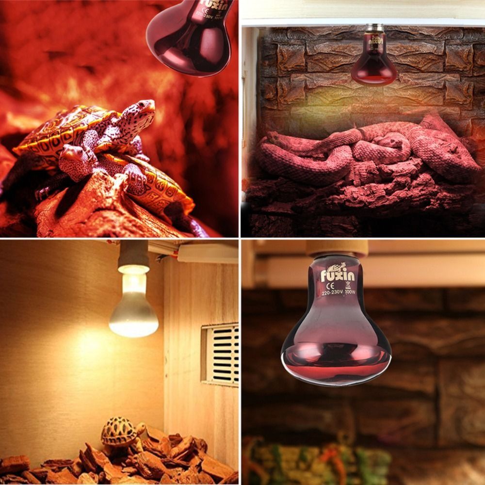 Infrared Led Pet Heating Lamp  - Ceramic Heat Emitter avis et prix