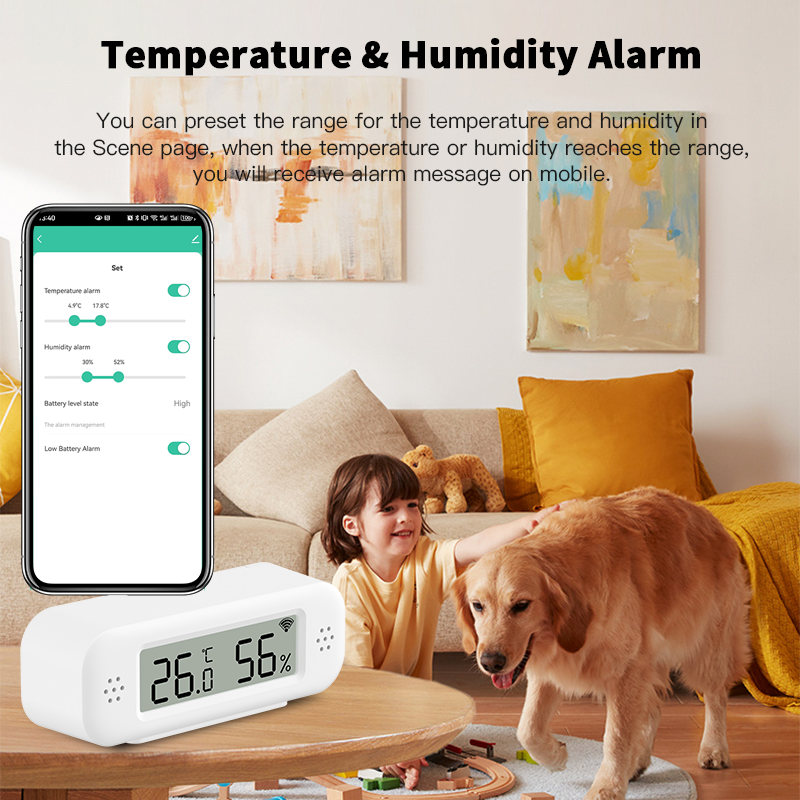 Tuya Zigbee 3.0 Mini Temperatu - Digital Hygrometer Probe avis et prix