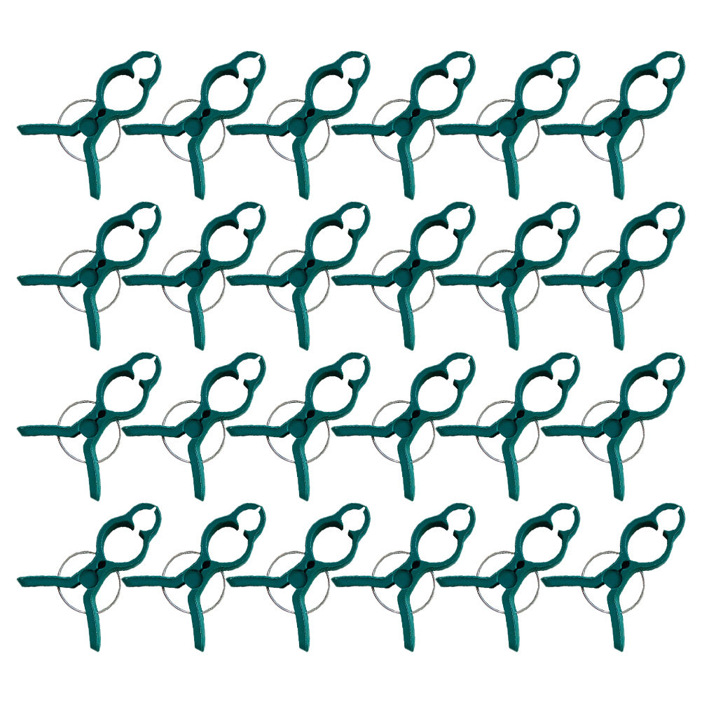 50Pcs Tomato Stem Support Clip - Vine Climbing Plastic avis et prix