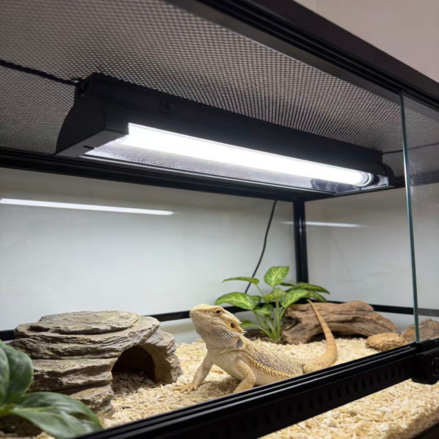 T5 UVB Reptile Light Fixture K - Calcium Powder Reptile avis et prix