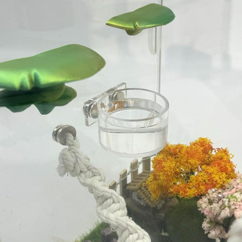 New Reptile Feeding Dish Set M - Water Dish Reptile avis et prix