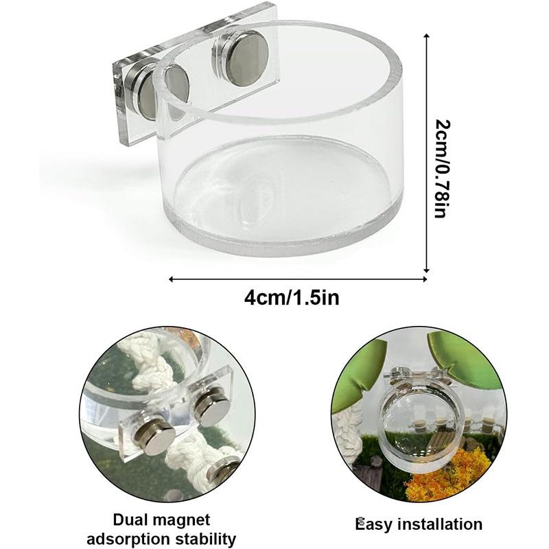 New Reptile Feeding Dish Set M - Water Dish Reptile avis et prix