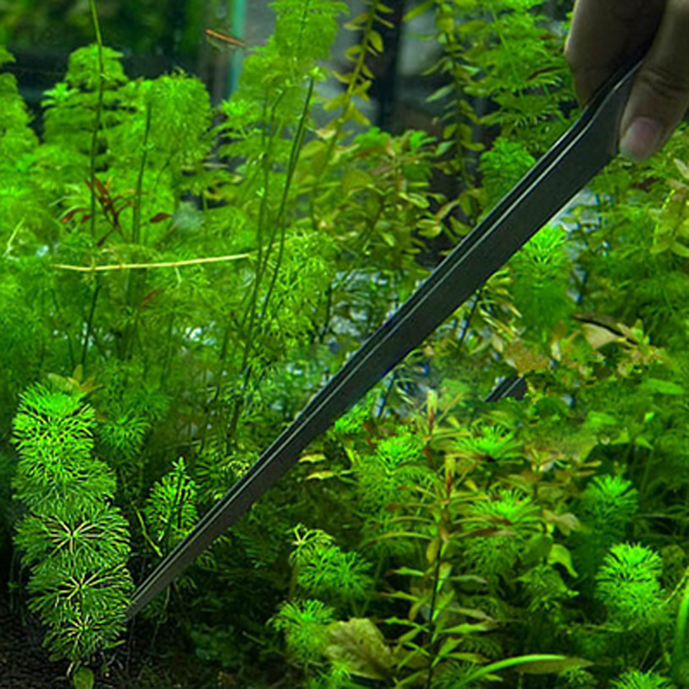 10.5 Inch Reptile Feeding Tong - Feeding Tong Stainless avis et prix