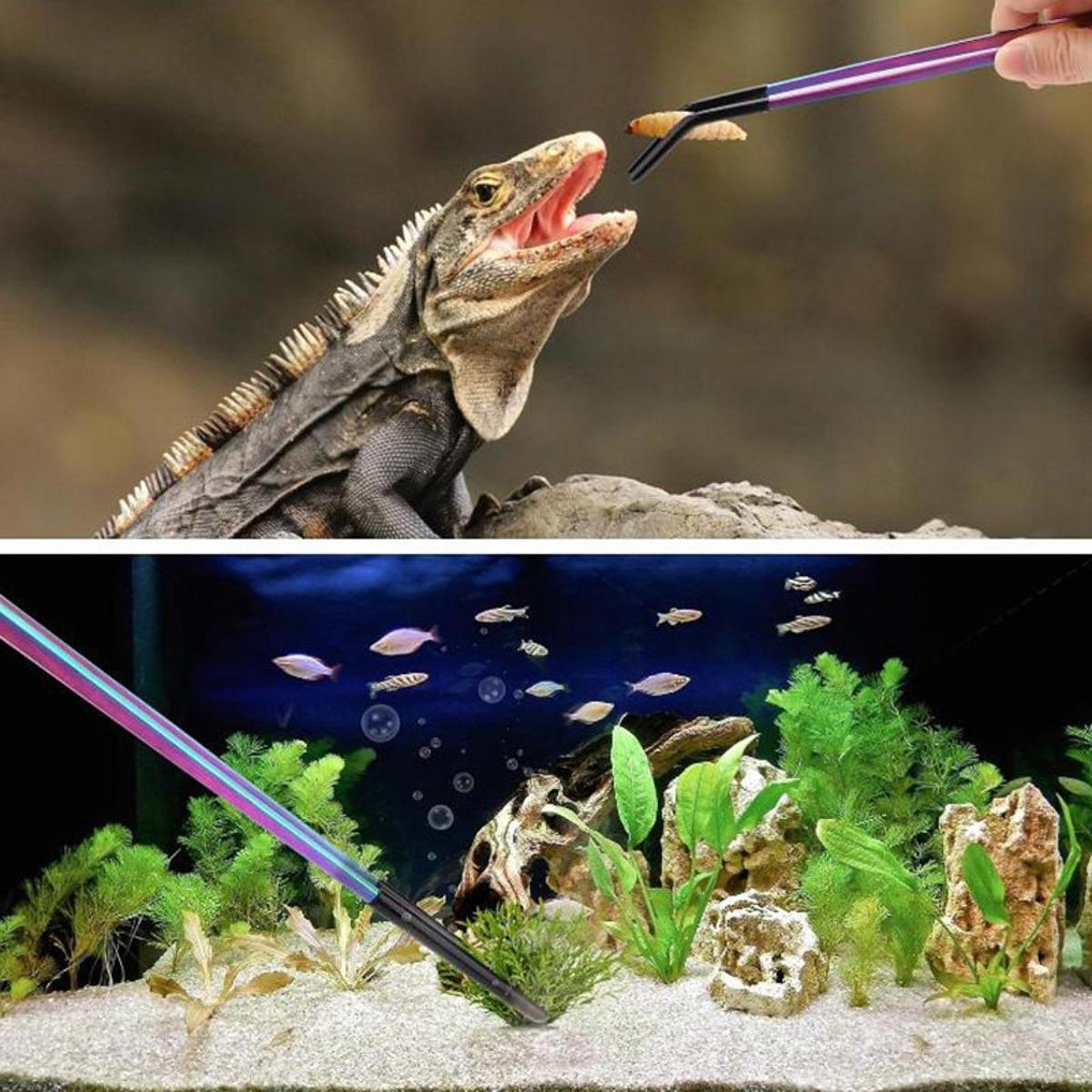 Aquarium Tweezers Reptile Feed - Feeding Tong Stainless avis et prix