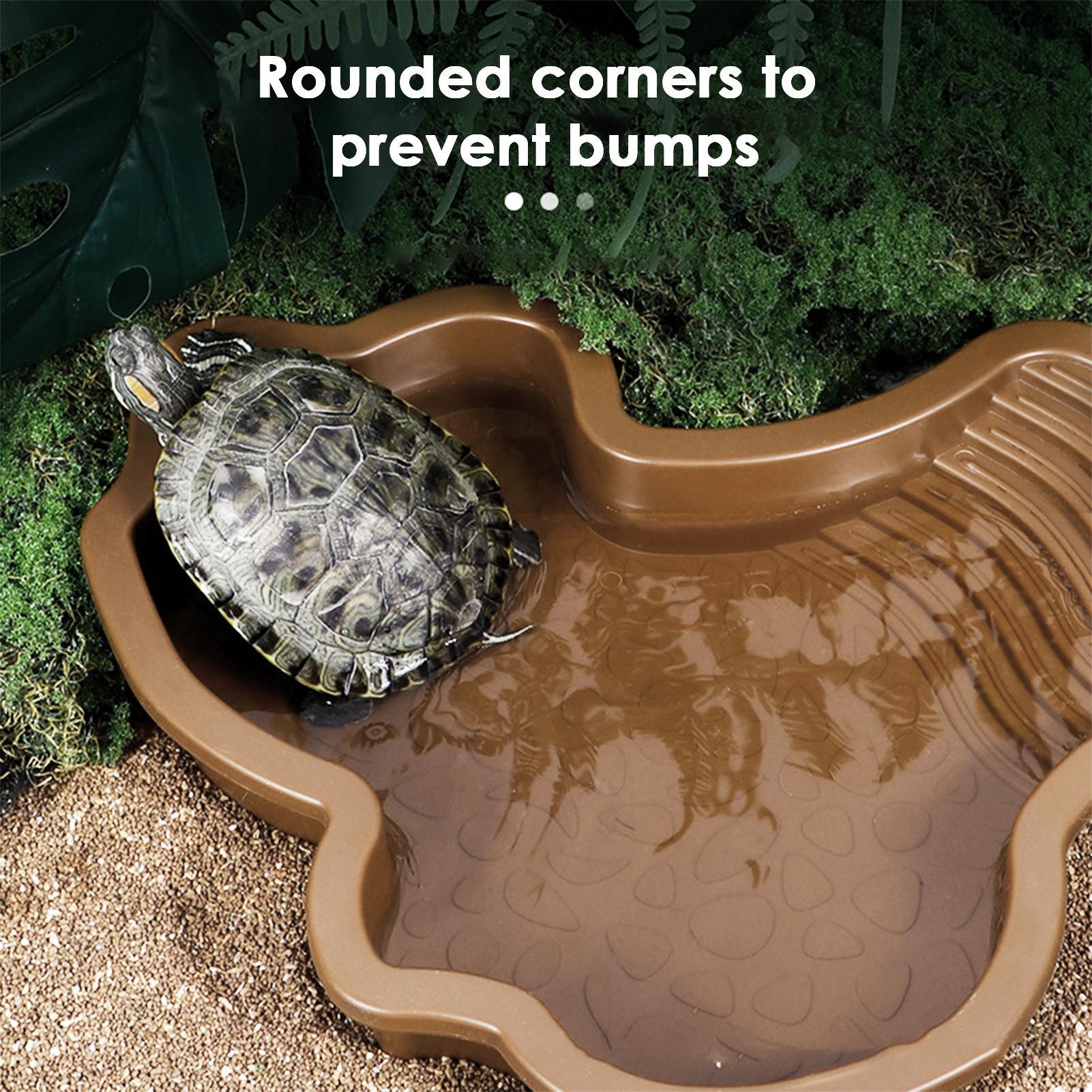 Reptile Bathing Pool with Ramp - Water Dish Reptile avis et prix