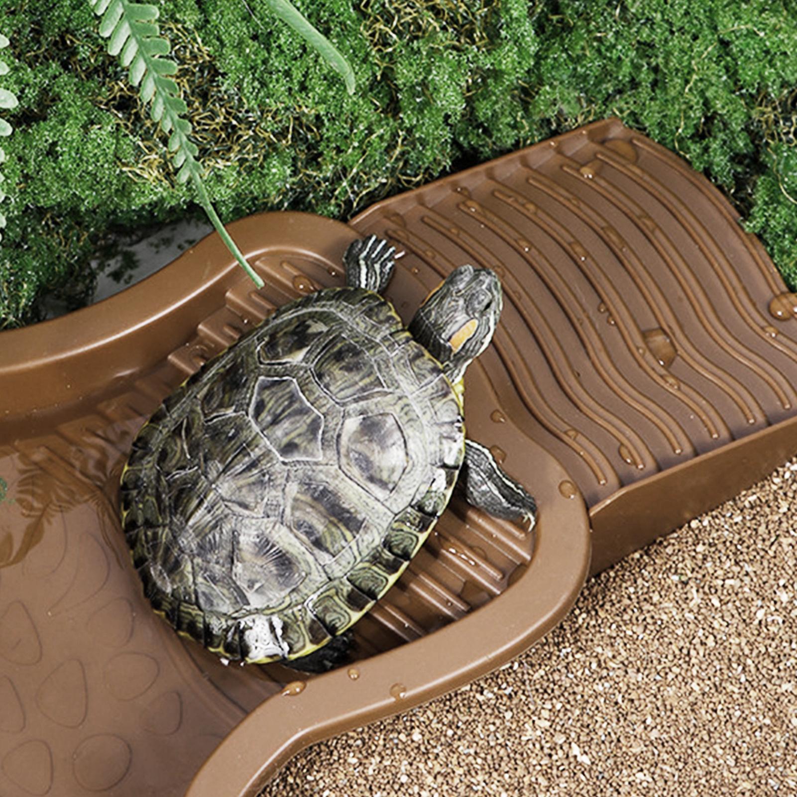 Reptile Bathing Pool with Ramp - Water Dish Reptile avis et prix