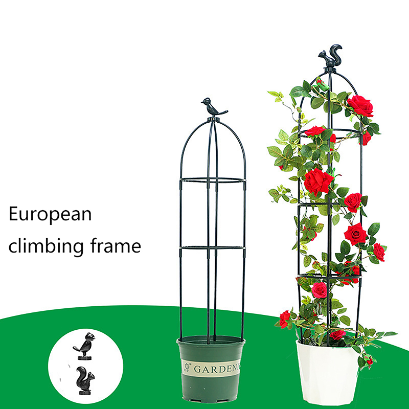 New DIY Flower Vine Climbing P - Vine Climbing Plastic avis et prix
