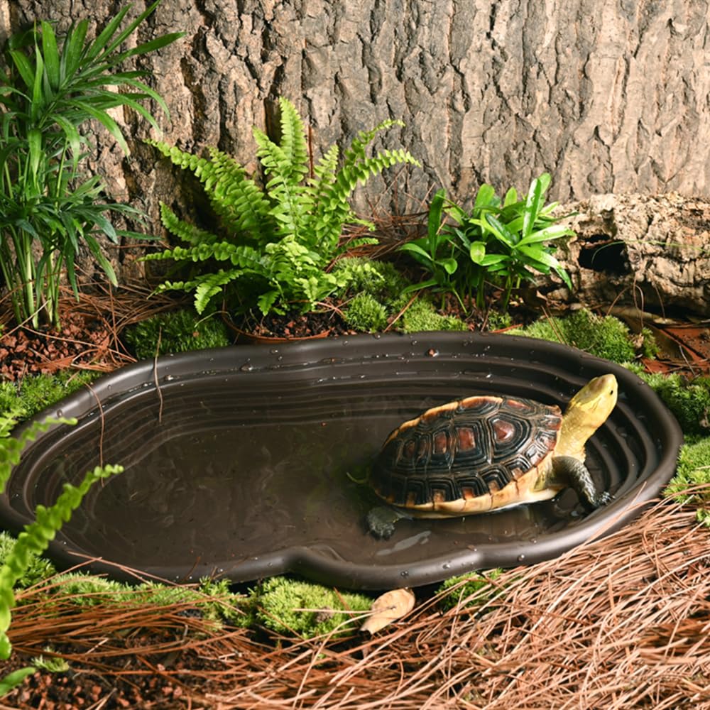 Reptile Bathing Dish Amphibian - Water Dish Reptile avis et prix