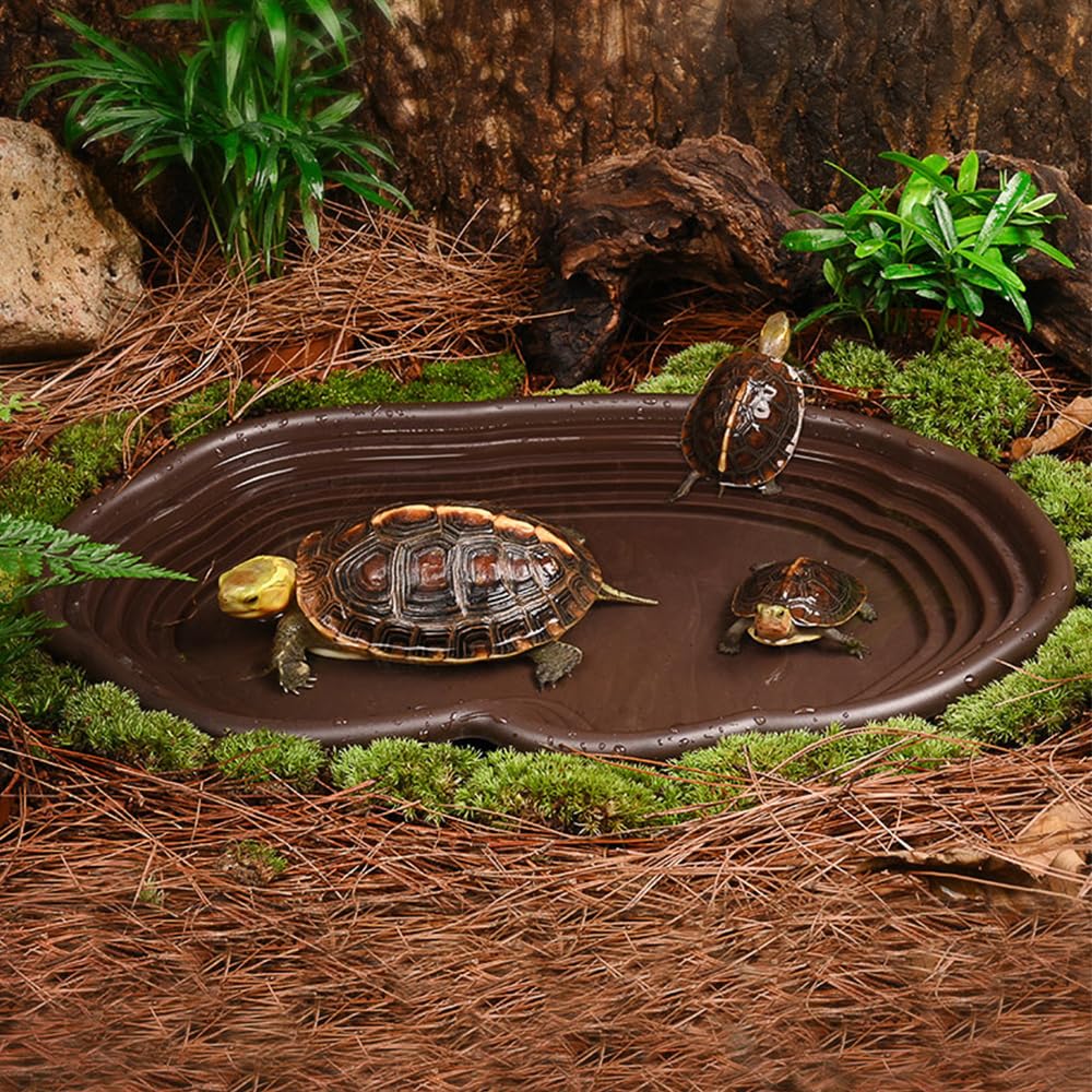 Reptile Bathing Dish Amphibian - Water Dish Reptile avis et prix