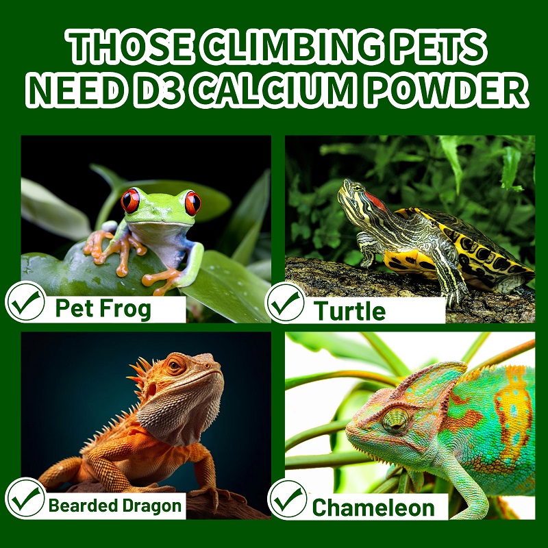 Crawling Pet Vitamin D3 Calciu - Calcium Powder Reptile avis et prix