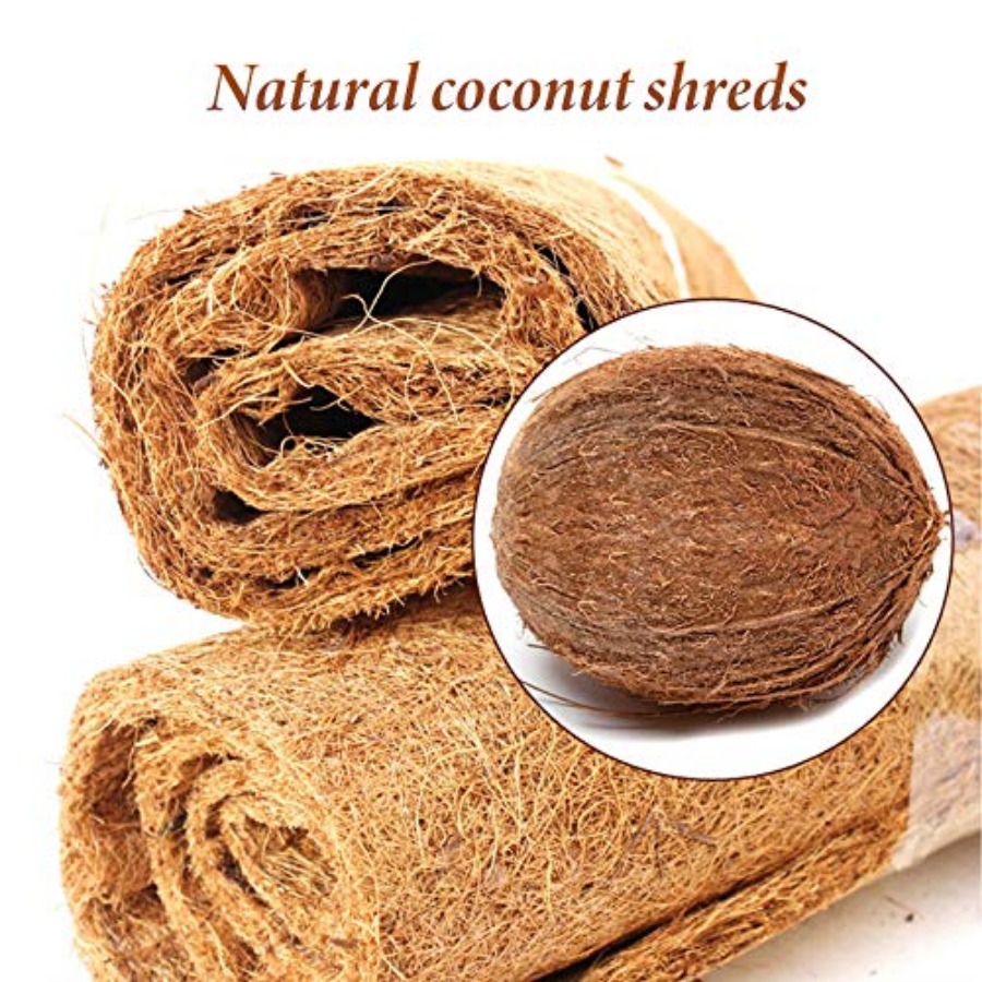 Reptile Carpet Mat 19.7x11.8in - Substrate Coconut Fiber avis et prix