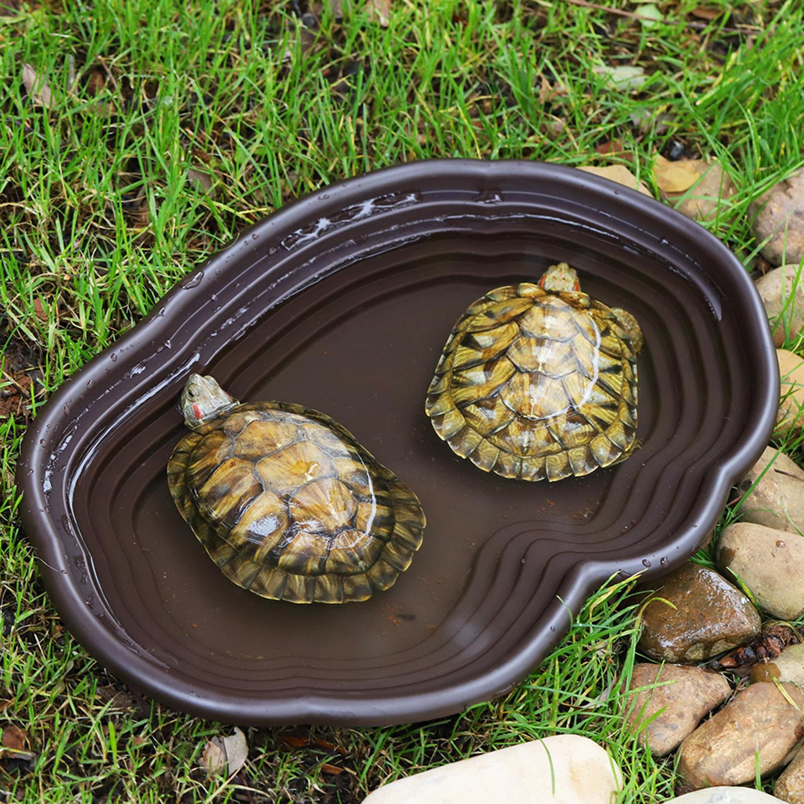 Reptile Bathing Dish Tortoise  - Water Dish Reptile avis et prix
