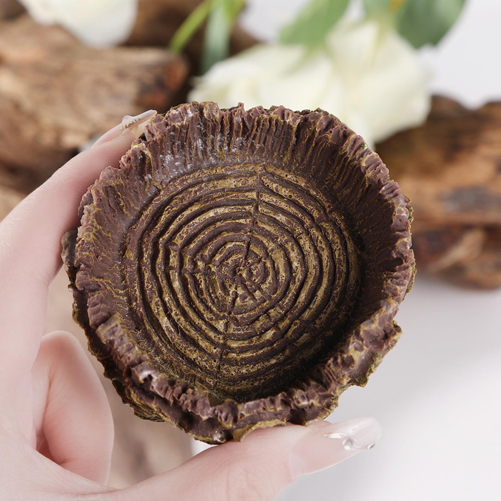 Reptile Bathing Dish Tortoise  - Water Dish Reptile avis et prix