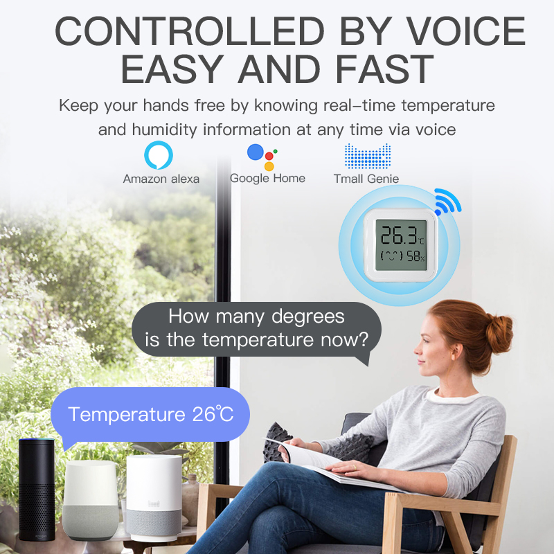 Bluetooth Temperature Humidity - Digital Hygrometer Probe avis et prix
