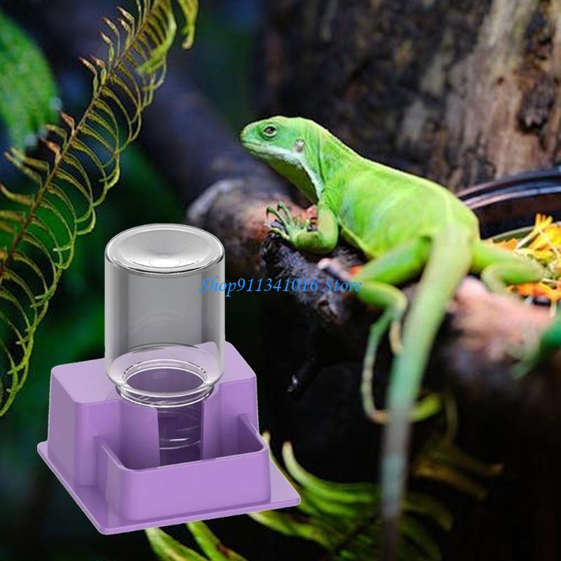  Multifunctional Reptiles Drin - Water Dish Reptile avis et prix
