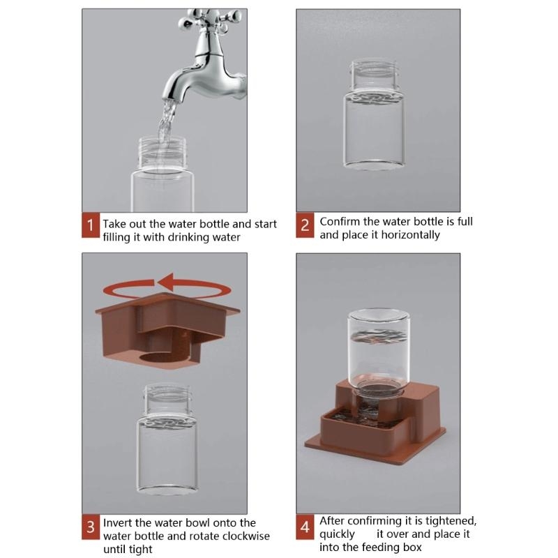 Multifunctional Reptiles Drin - Water Dish Reptile avis et prix