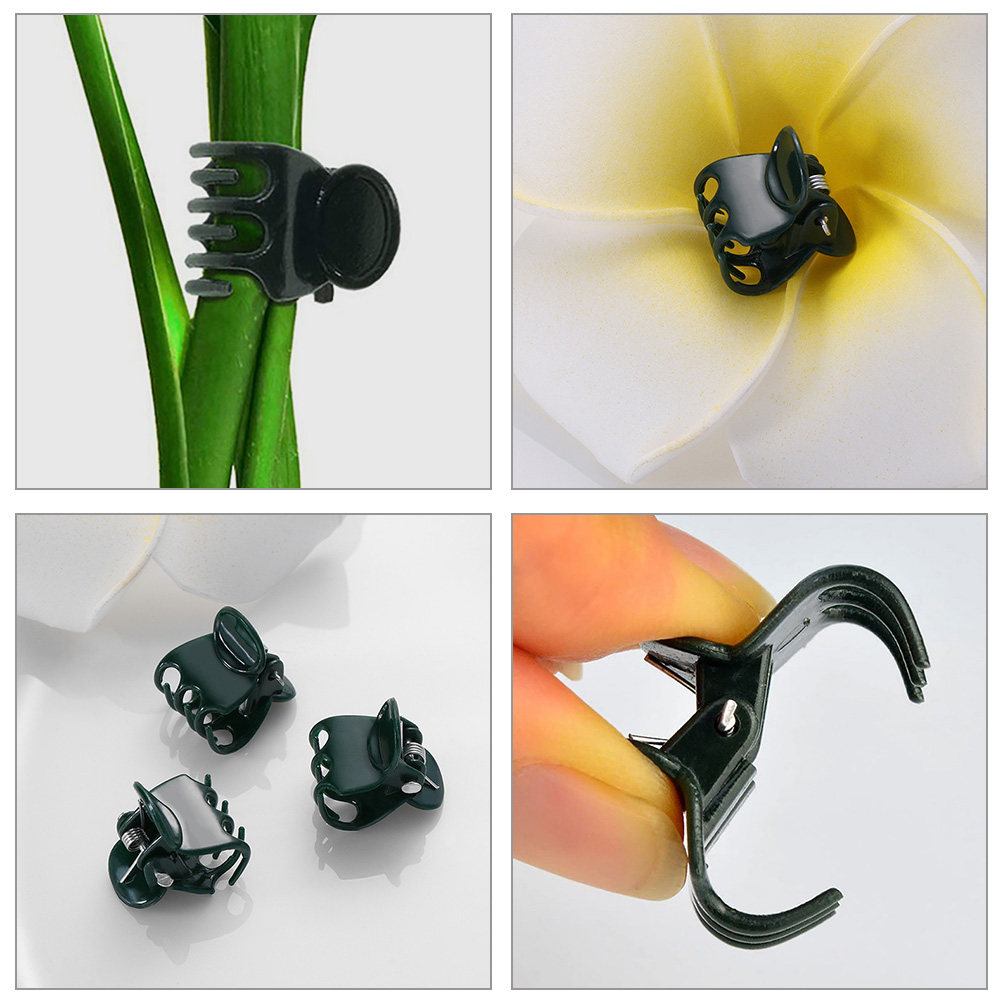 60Pcs Plant Support Clamps Pla - Vine Climbing Plastic avis et prix