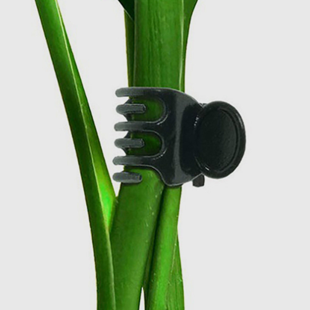 60Pcs Plant Support Clamps Pla - Vine Climbing Plastic avis et prix