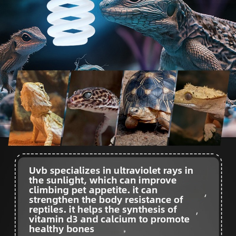 NOMOY 26W UVB Reptile Light Ca - Vitamin D3 Reptile avis et prix