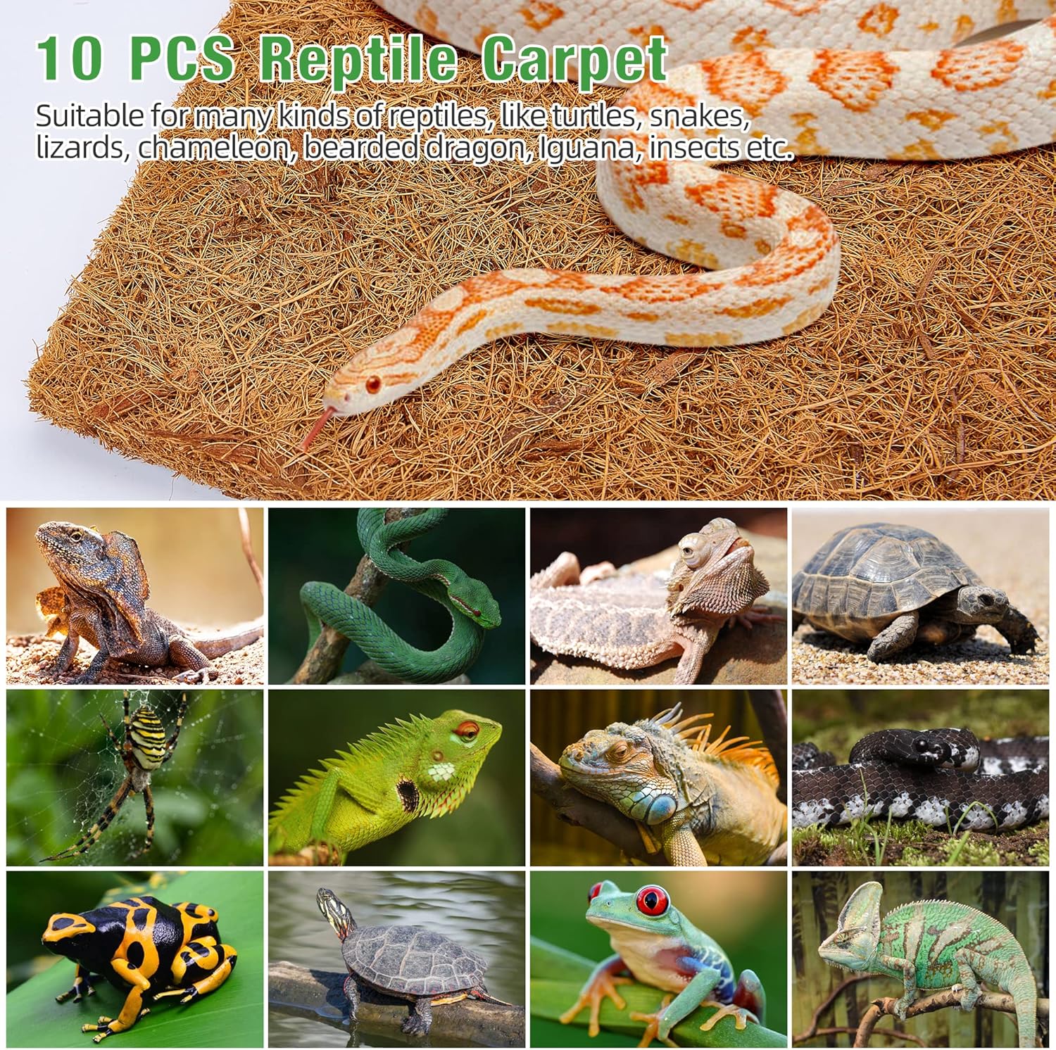 10 Pcs Reptile Carpet, 12x12 i - Substrate Coconut Fiber avis et prix