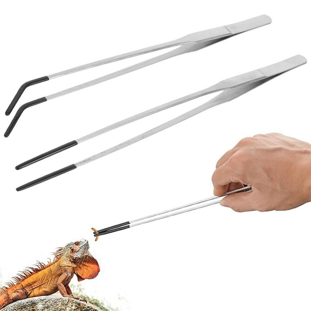 2Pcs Stainless Steel Aquarium  - Feeding Tong Stainless avis et prix