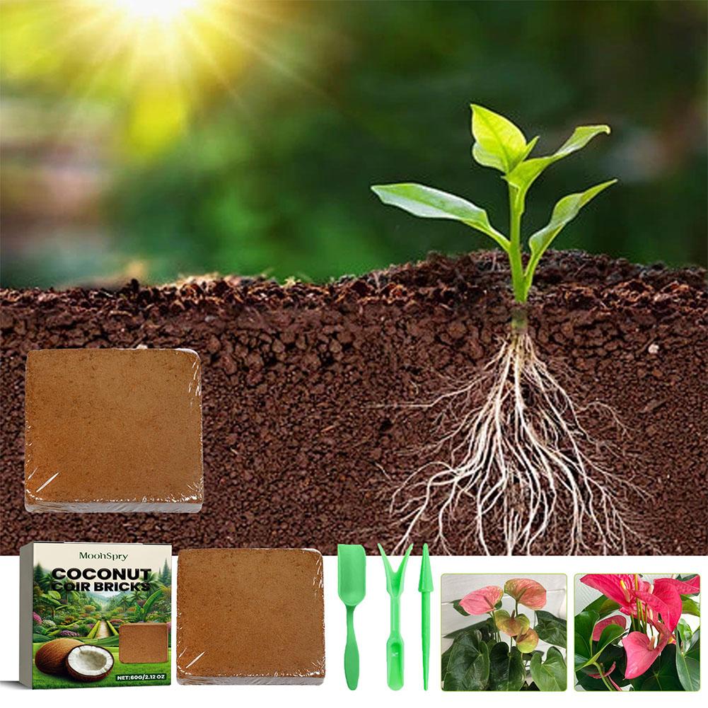 Reptile Coconut Soil Coir Pres - Substrate Coconut Fiber avis et prix
