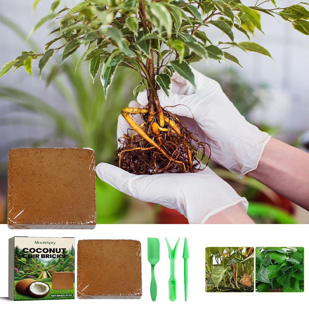 Reptile Coconut Soil Coir Pres - Substrate Coconut Fiber avis et prix