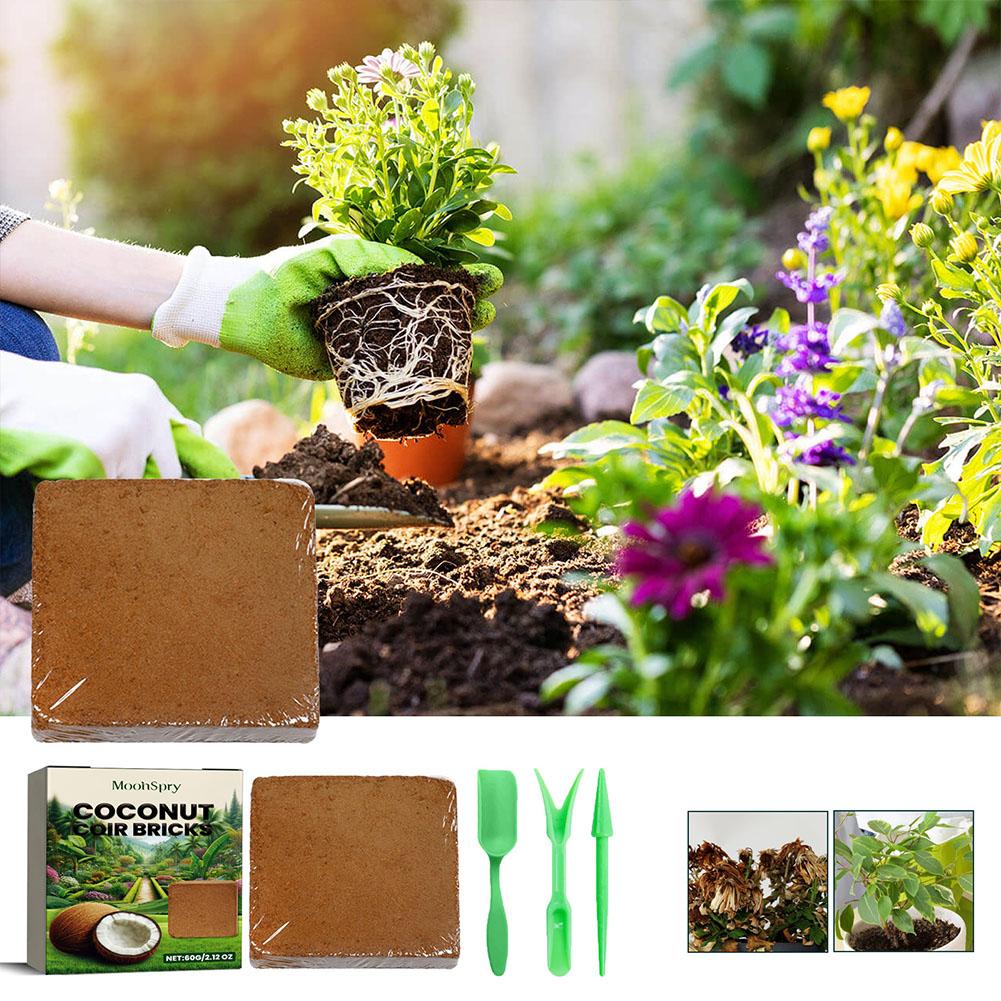 Reptile Coconut Soil Coir Pres - Substrate Coconut Fiber avis et prix