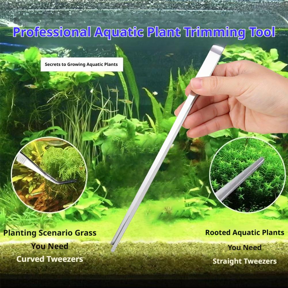 Stainless Steel Aquarium Tweez - Feeding Tong Stainless avis et prix