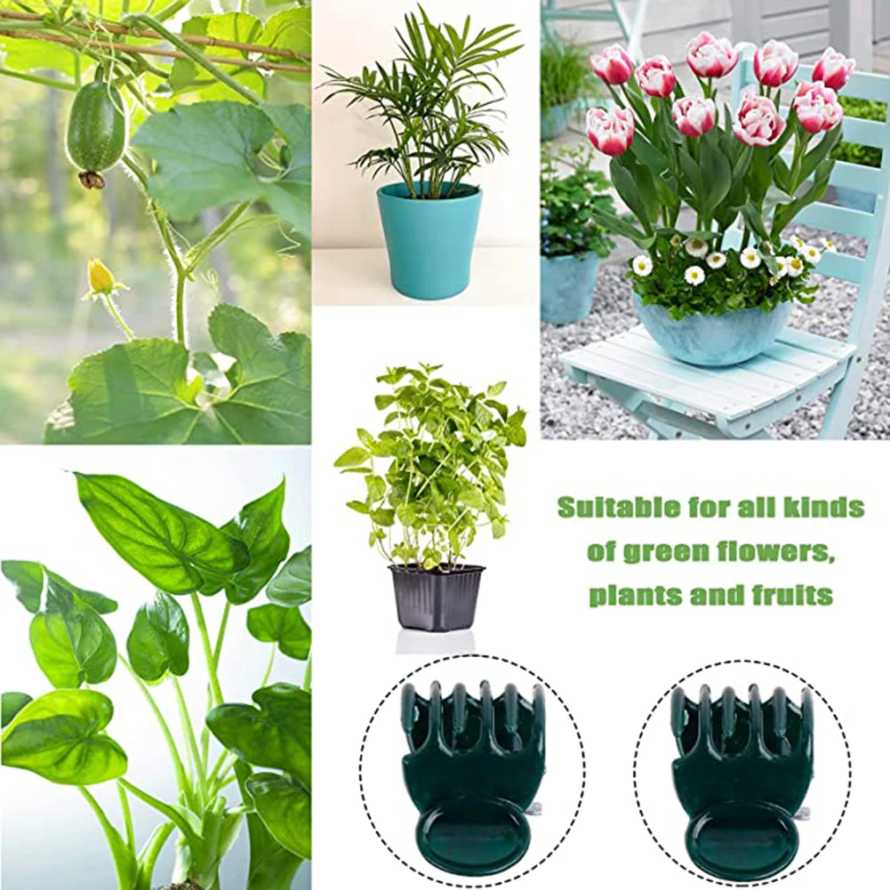 Phalaenopsis Orchid Support Cl - Vine Climbing Plastic avis et prix