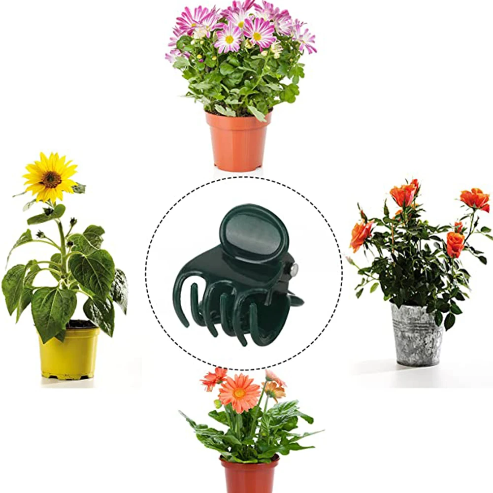 Phalaenopsis Orchid Support Cl - Vine Climbing Plastic avis et prix