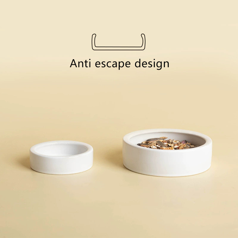 Reptile Food Ceramic Bowl Anti - Water Dish Reptile avis et prix