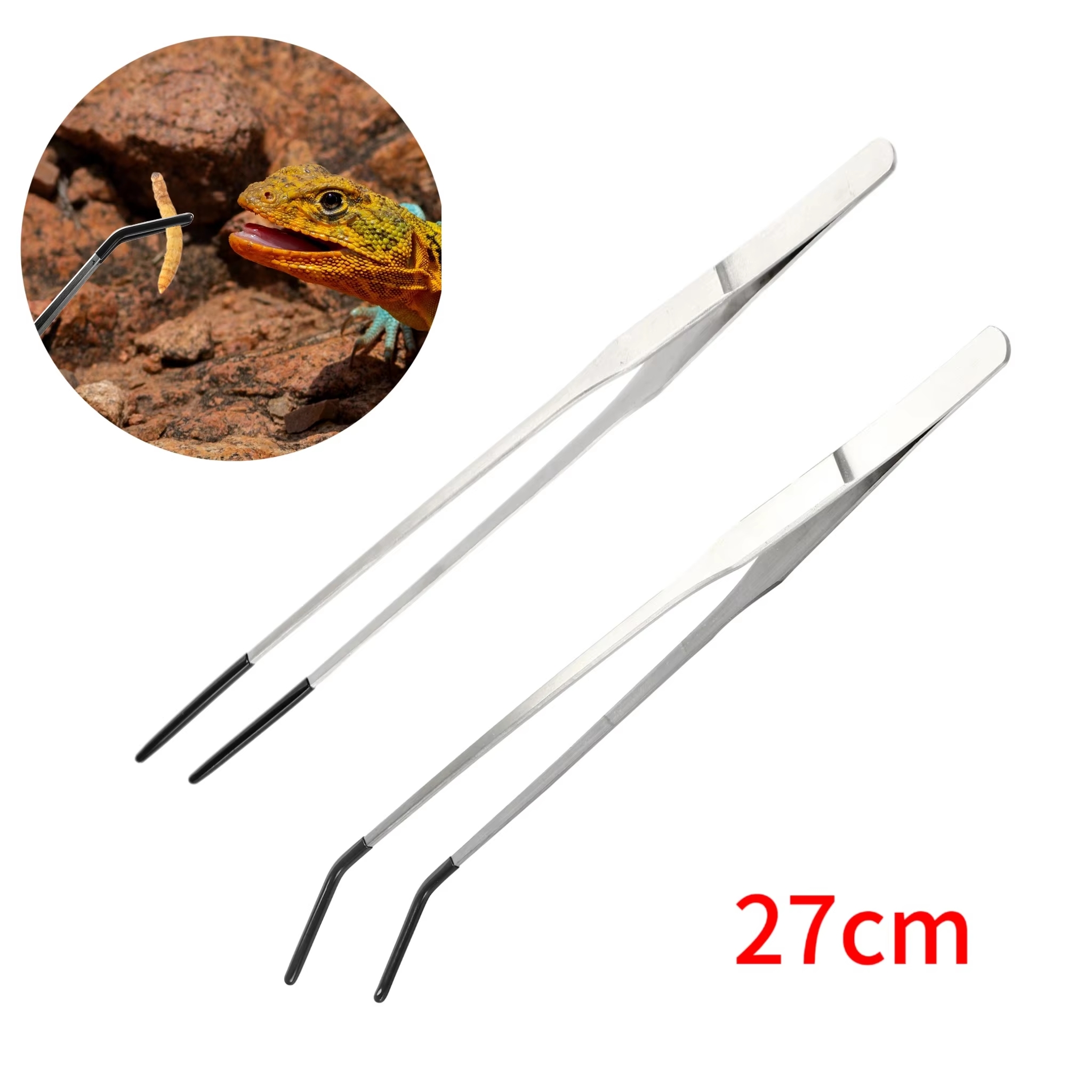Stainless Steel Reptile Feedin - Feeding Tong Stainless avis et prix