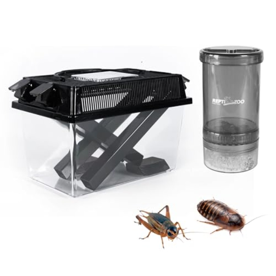 【Spot goods】Reptile Cricket Ke - Calcium Powder Reptile avis et prix