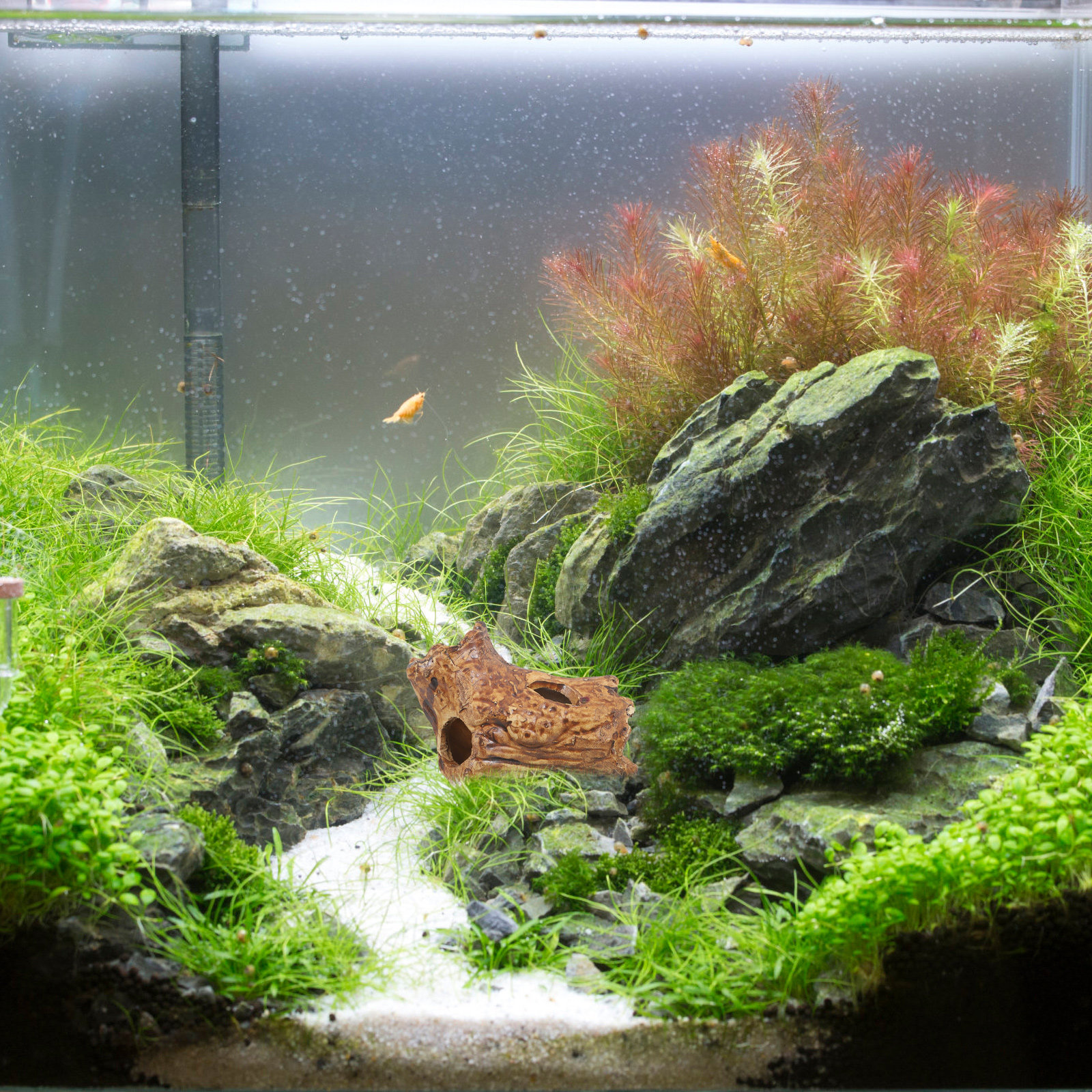 Premium Ceramic Aquarium Hides - Hide Cave Ceramic avis et prix